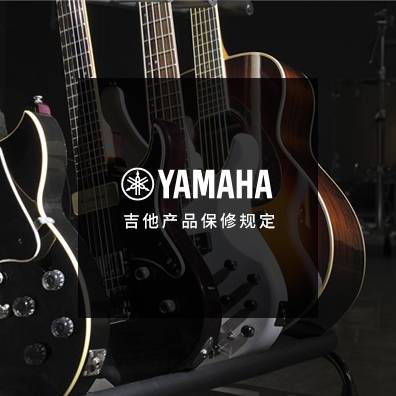 吉他、贝斯和音箱