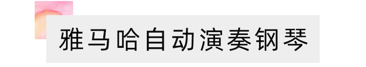活动报道 | 远程艺术教育大师课活动—摩斯国际艺术家赵宇大师课