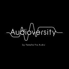 摩斯国际专业音响教育培训开展全新“Audioversity ”计划